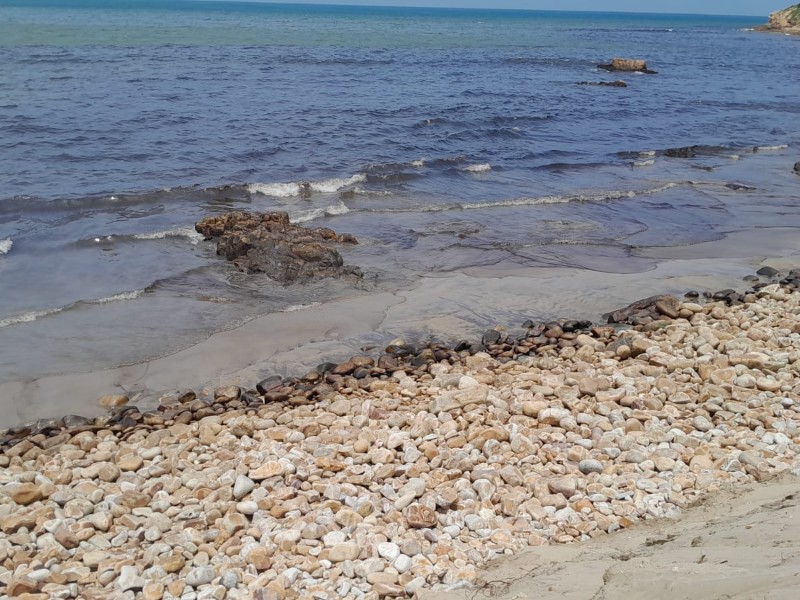 Denuncian una vez más derrame de hidrocarburos en playas de Salina Cruz