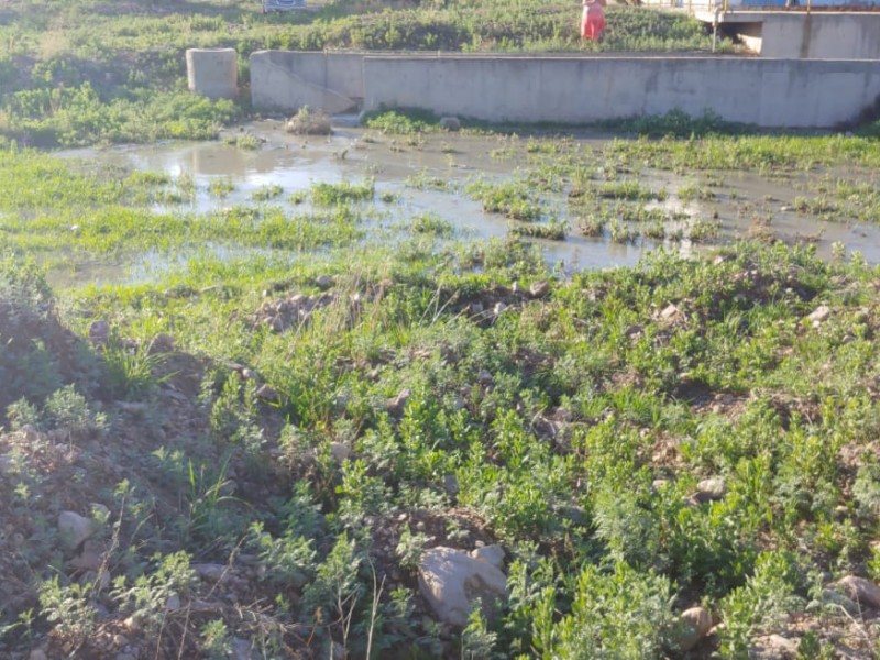 Denuncian vecinos fuga de aguas negras en planta tratadora