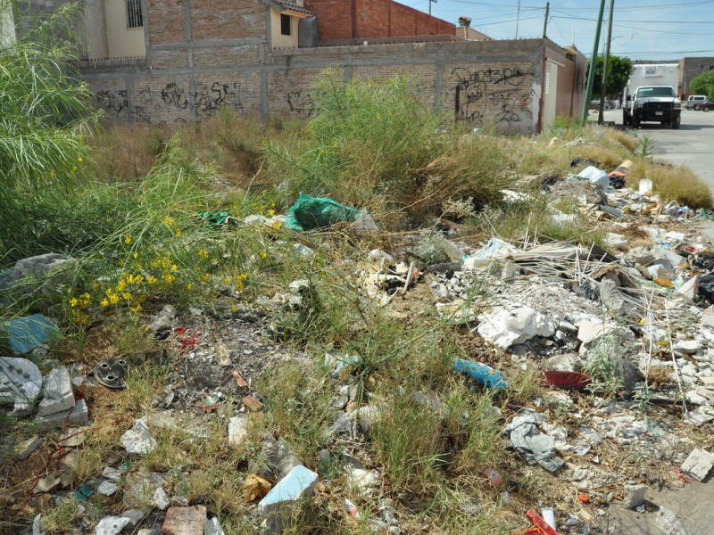 Denuncias de lotes baldíos prevalecen en Mazatlán: Ecología