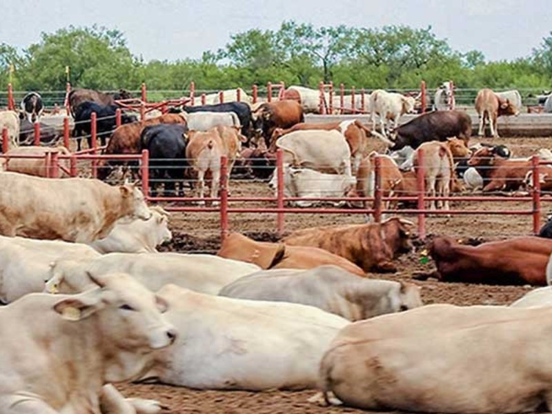 Departamento de Agricultura termina análisis en Sonora