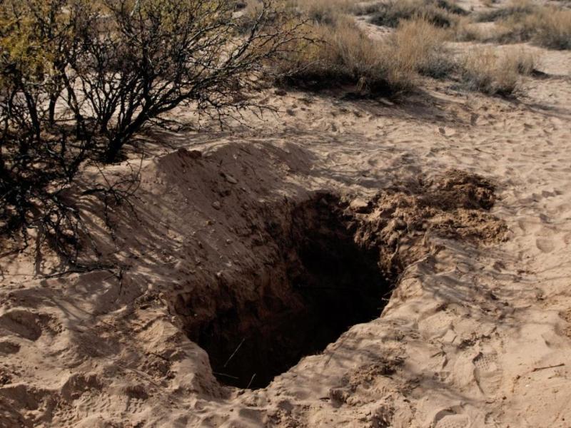 Derechos Humanos pide proteger información de jornadas de búsqueda