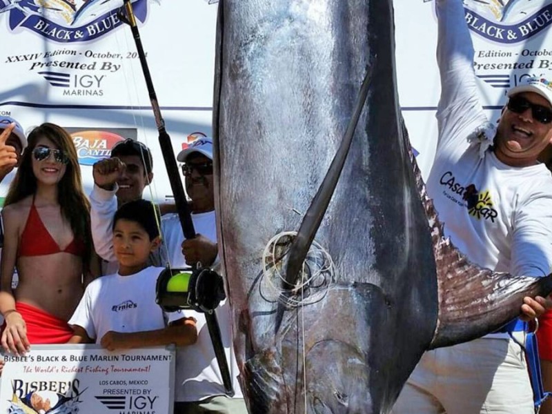 Derrama economica por torneo de pesca en Los Cabos