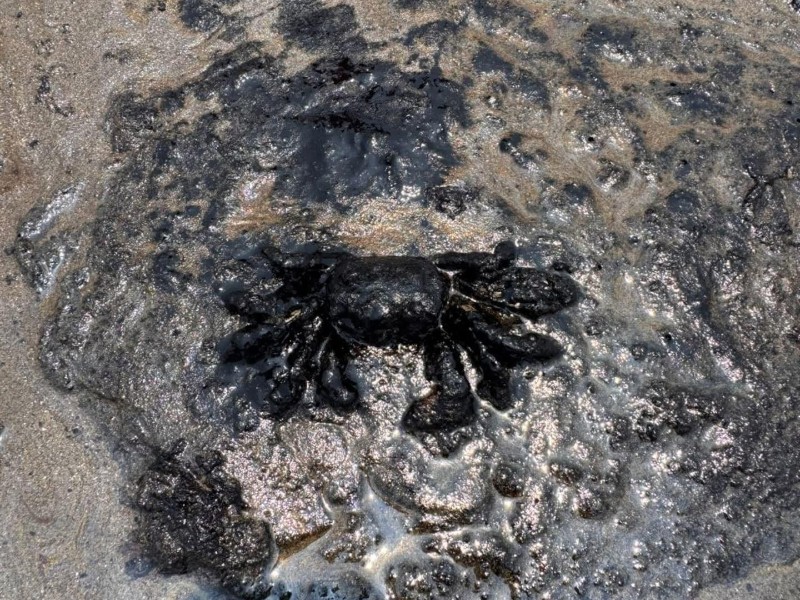 Derrame de petróleo contamina playas en Tabasco