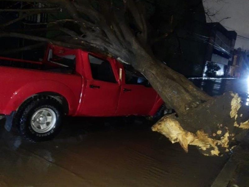 Derriba tormenta postes, árboles y anuncios espectaculares