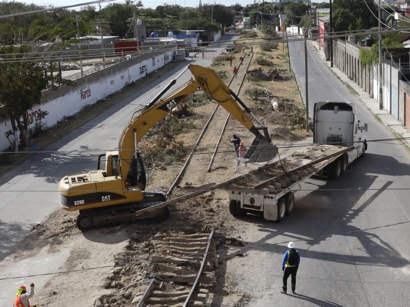 Derriban 200 árboles para rehabilitación de vías en Juchitán