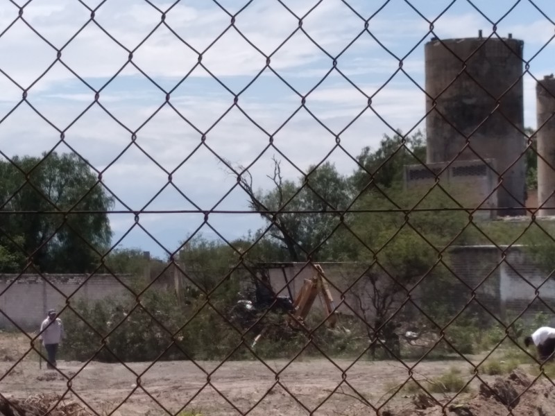 Derriban árboles para limpieza de predio aledaño al Instituto Tecnológico