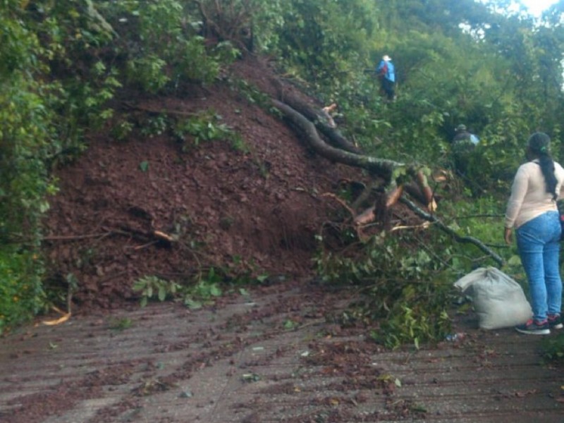 Derrumbe en Xicotepec obstruye camino