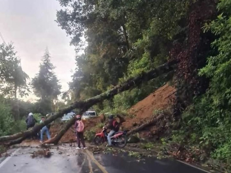 Derrumbes afectaron carreteras de Teocelo; emiten recomendaciones