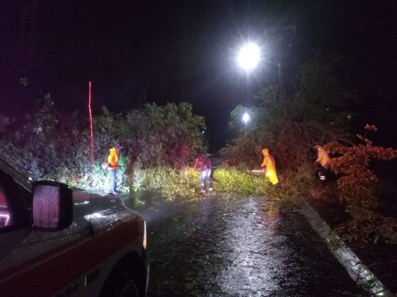 Derrumbes, encharcamientos y árboles caídos, saldo de las lluvias registradas