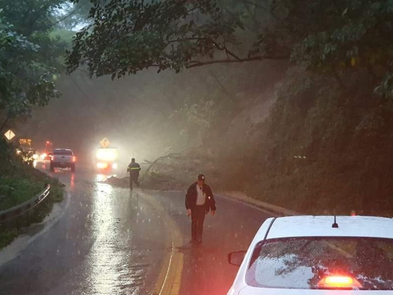 Derrumbes provocan circulación lenta en la carretera federal 200