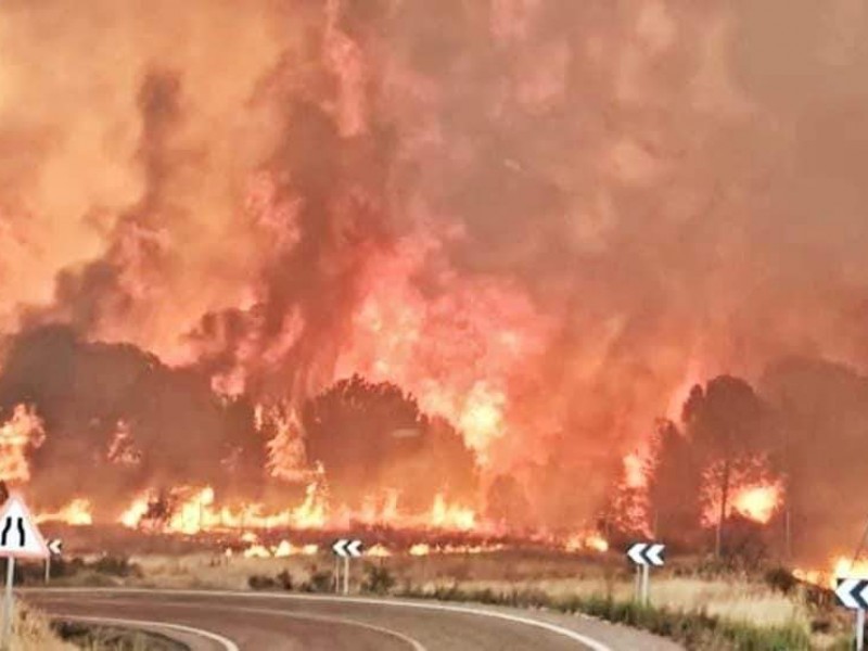 Desalojan a 3500 personas por incendios en España