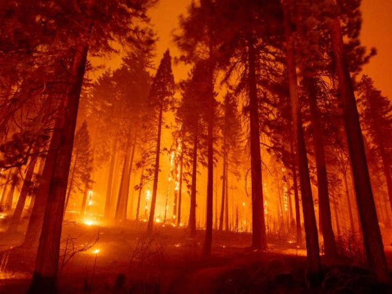 Desalojan a pacientes de hospital debido a incendio en California