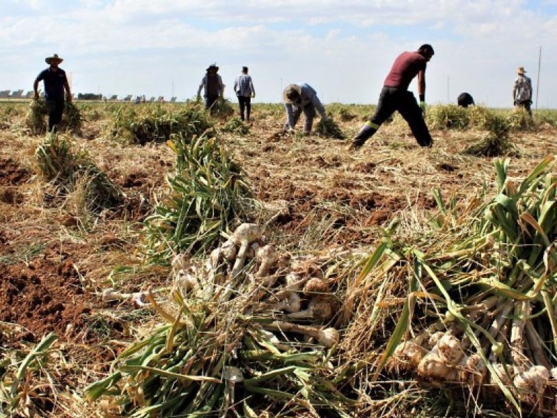 Desaparece Financiera Rural  