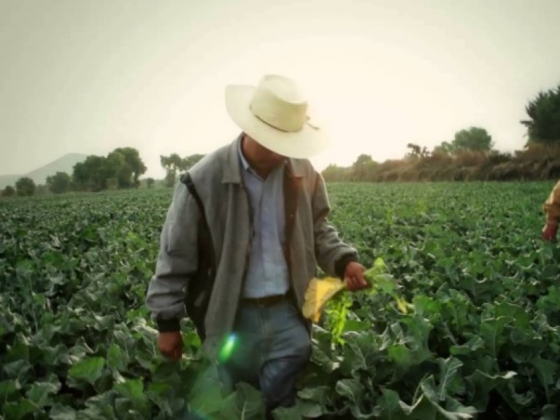 Desaparecen Financiera Rural; diputados aprueban su extinción