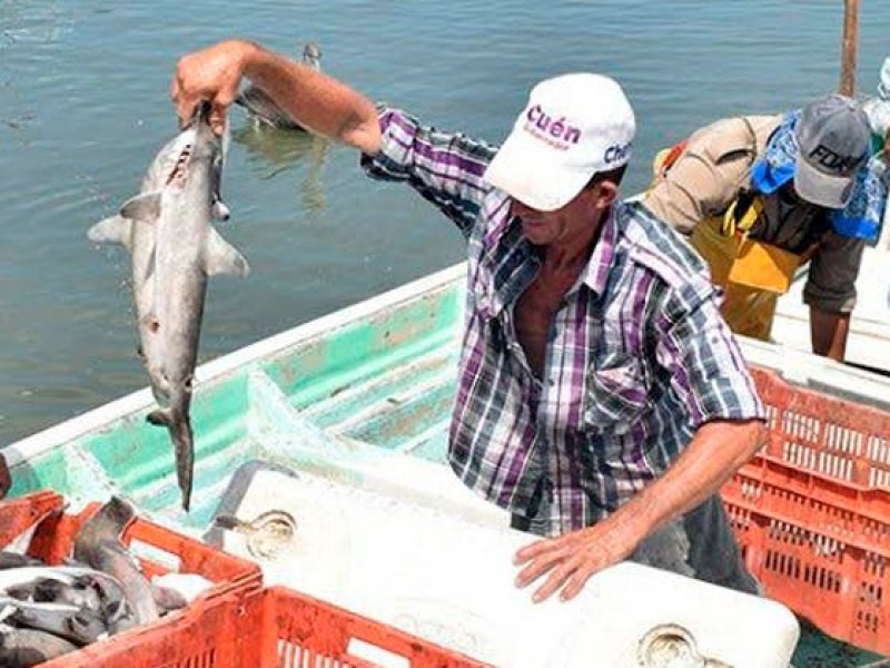 Desaparecen tres pescadores de tiburón en Huatabampo