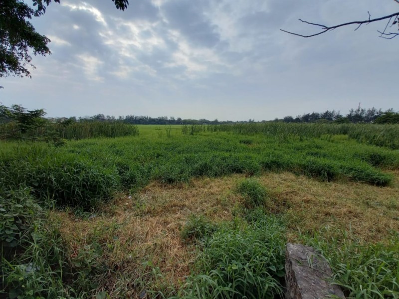 Desaparición de Fondo Ambiental ocasionó abandono de lagunas:Diputado