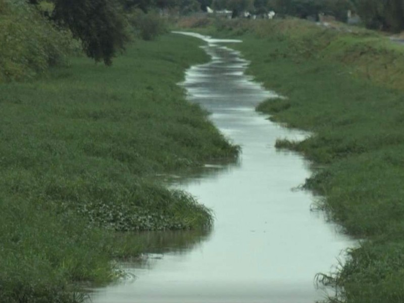 Desaparición de manantiales amenaza producción agrícola en Zamora