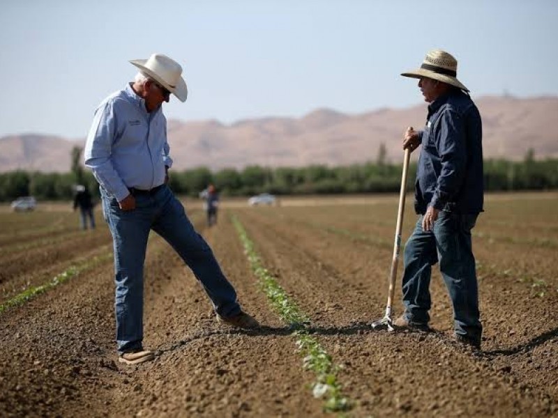 Desaparición de programas de apoyo, agrava crisis financiera de agricultores