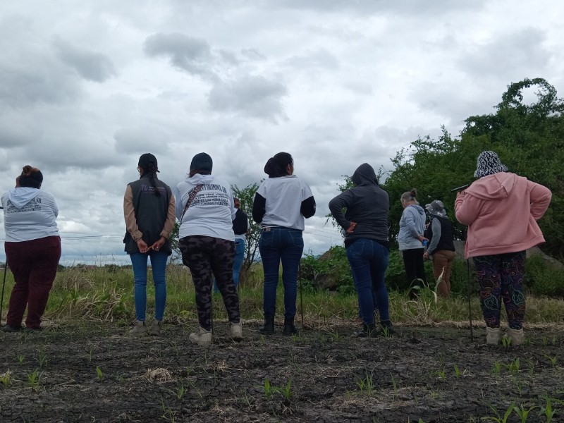 Desapariciones se producen en un contexto de violencia generalizada, organizada y corrupción