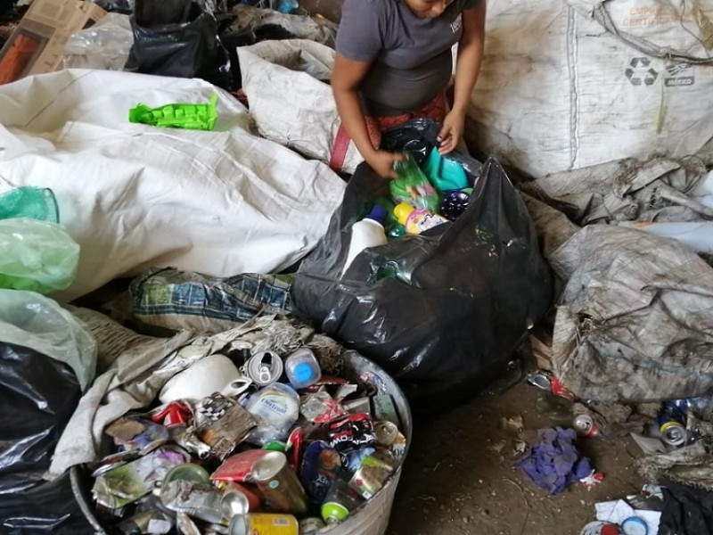 Desaprovechado el negocio del reciclaje