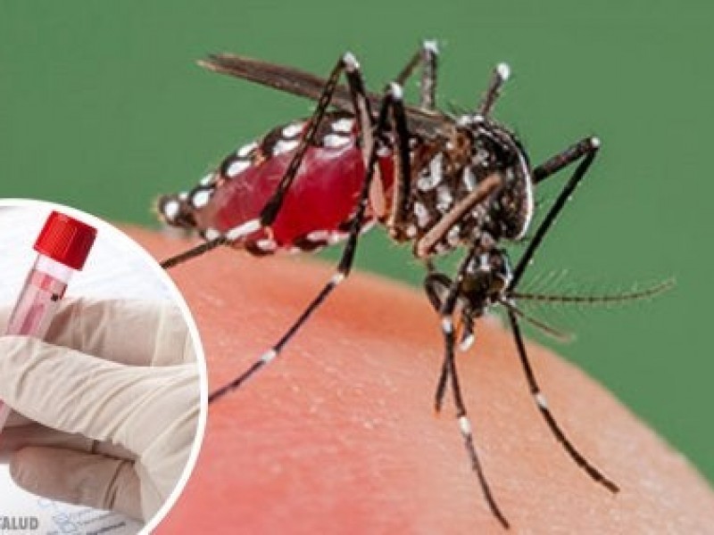 Desarrollan antiviral contra el dengue, útil para tratamiento y prevención