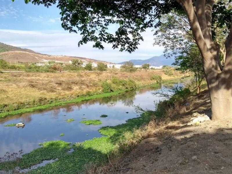 Desazolve del río mololoa causará un ecocidio