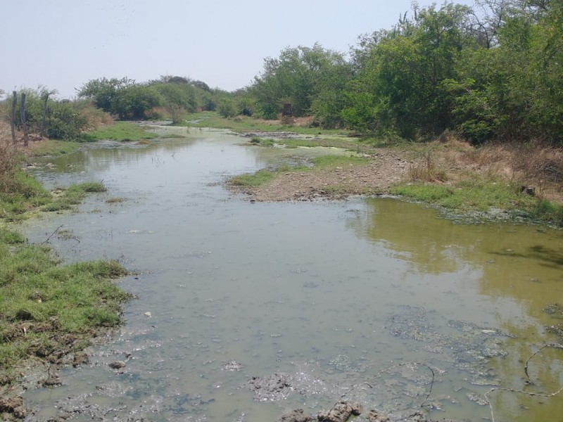 Desbordamiento de aguas negras continúan afectando a campesinos de Tehuantepec