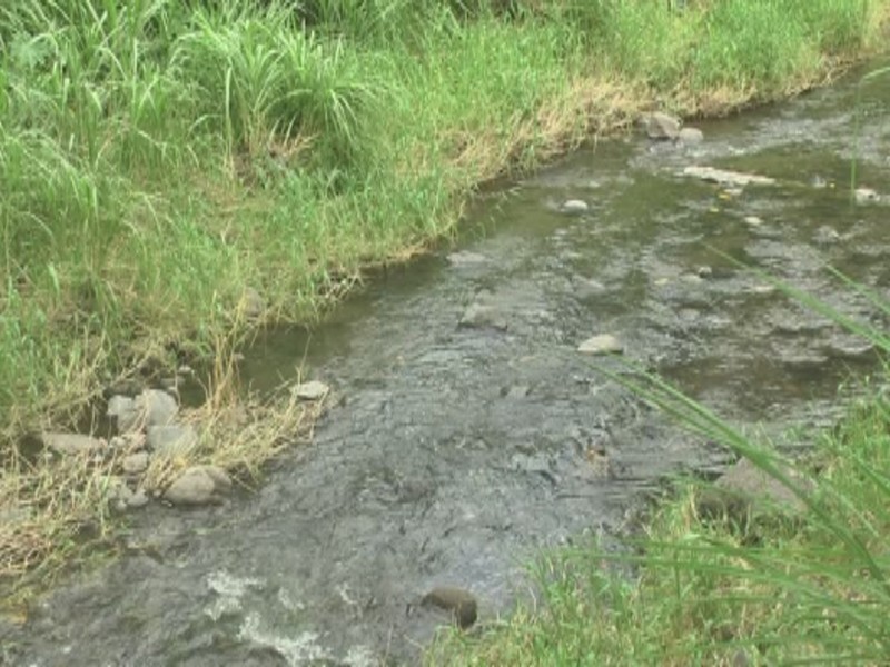 Desbordamientos de ríos en Colima siguen provocando daños