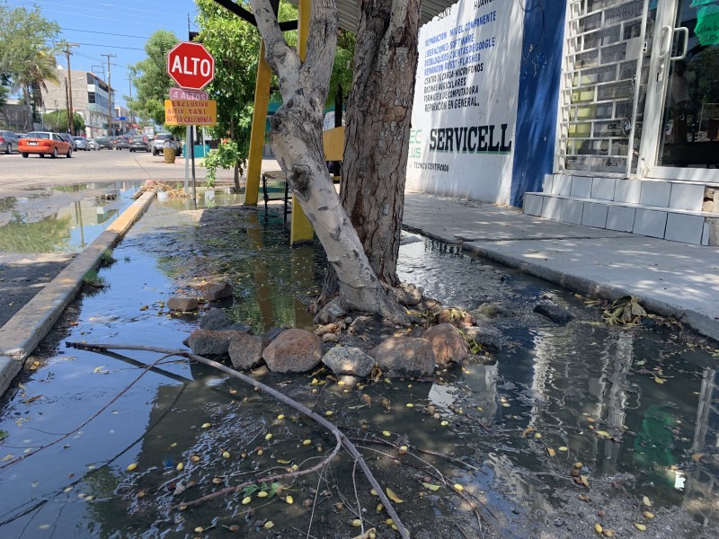 Desborde de aguas negras en el centro histórico