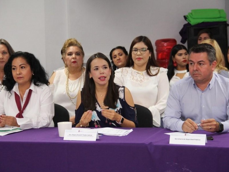 Descalifica Ismujeres críticas de diputada