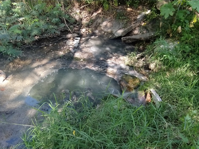 Descargan aguas negras hacía humedal del parque ecológico