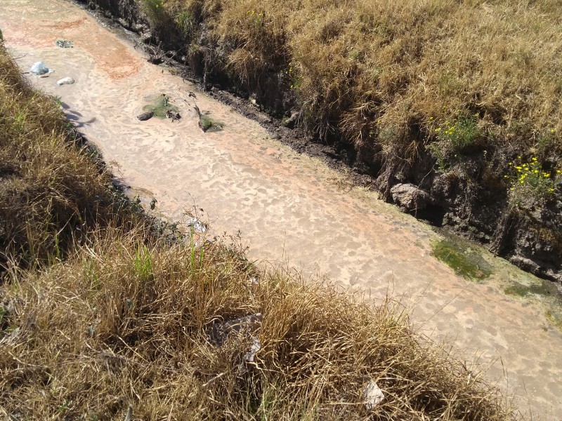 Descargas clandestinas de zona industrial  contaminan canal