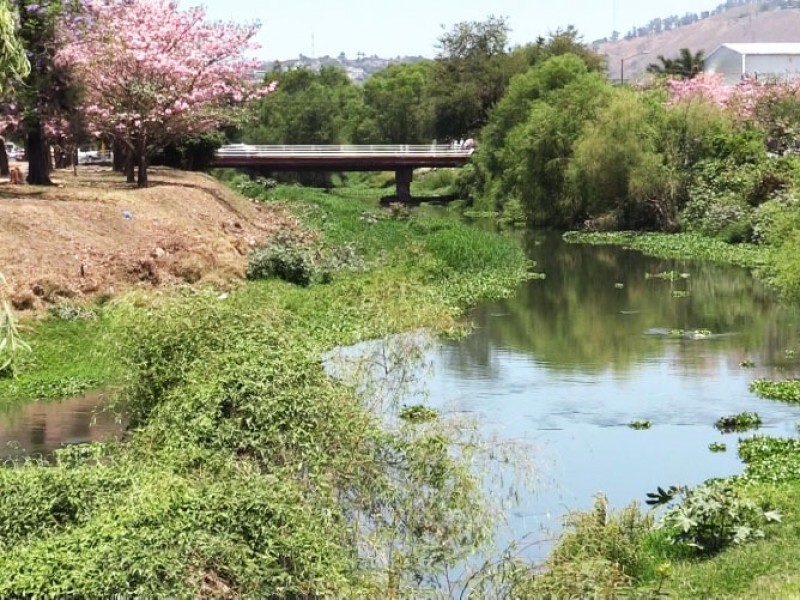 Descargas clandestinas impiden el saneamiento del río Mololoa