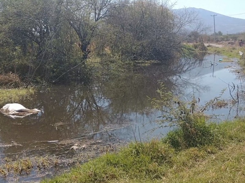 Descargas de aguas negras afectan colonia Cuauhtémoc