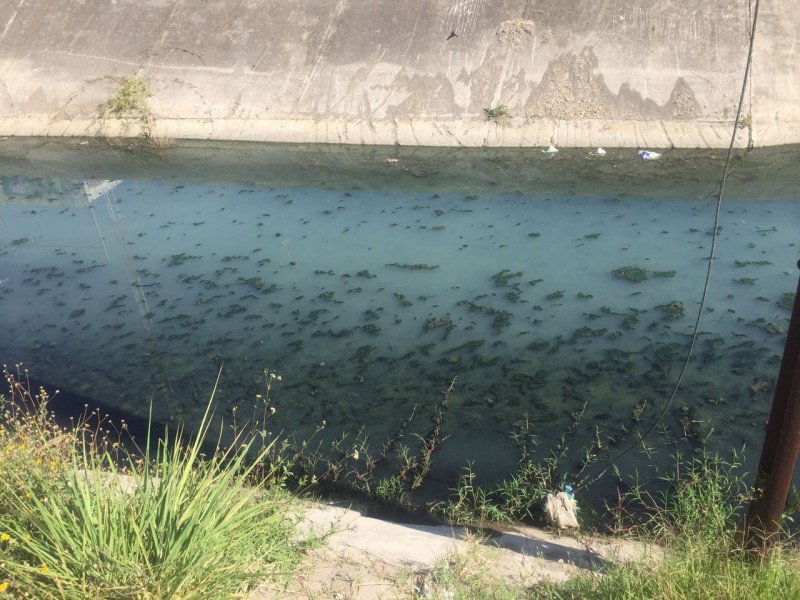 Descargas de aguas negras revientan tuberías