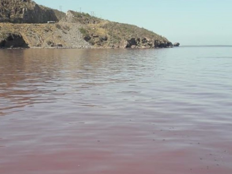 Descarta CANAINPES contaminación por la industria