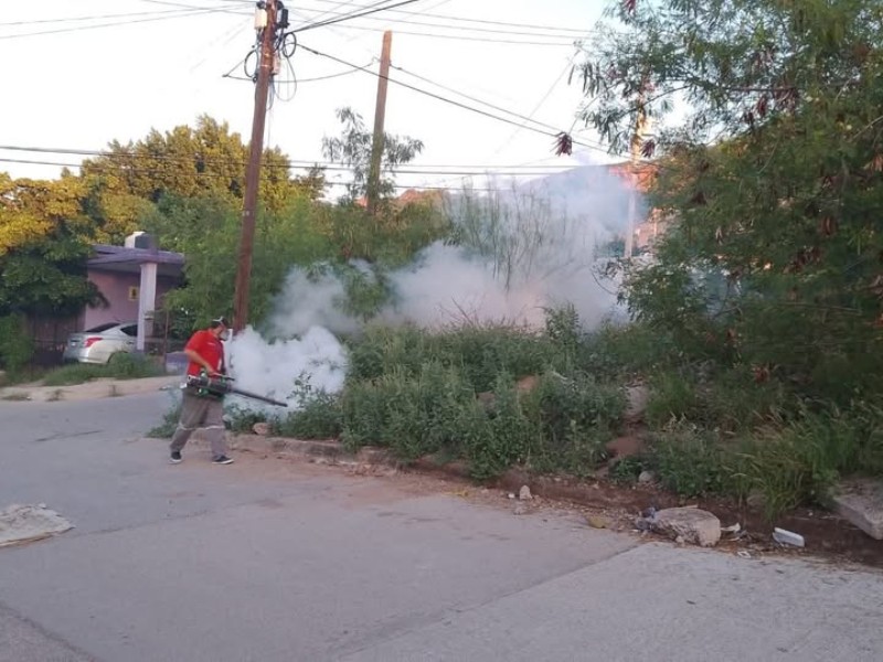 Descarta secretaría de salud muertes por dengue en Sonora