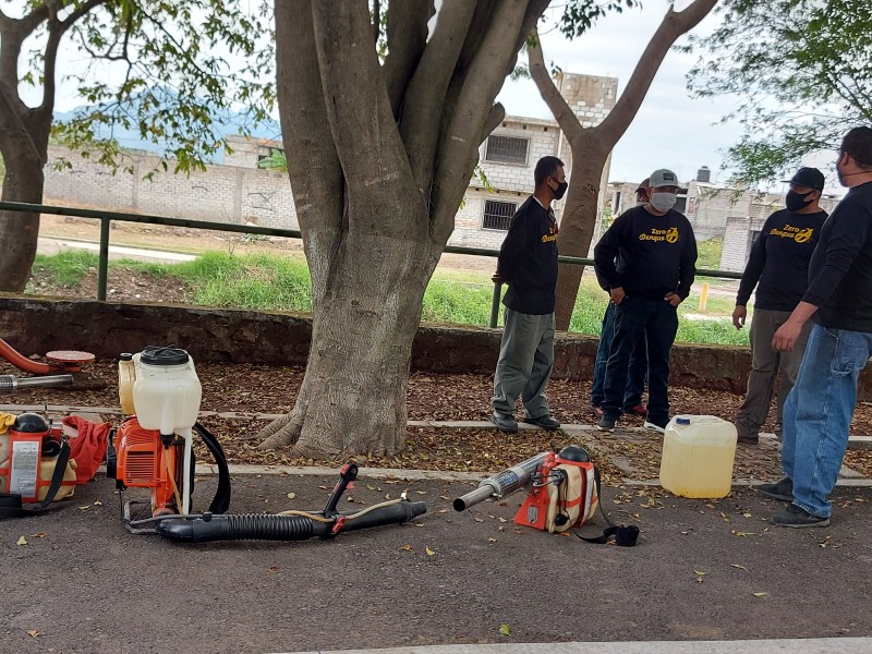 Descartan aniquilación de agentes polinizadores por fumigación contra dengue