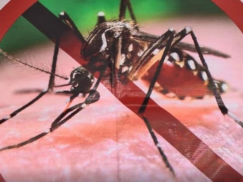 Descartan casos de dengue en región Zamora