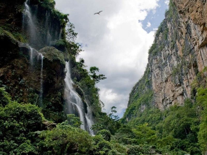 Descartan contaminación de agua en reserva de la biosfera