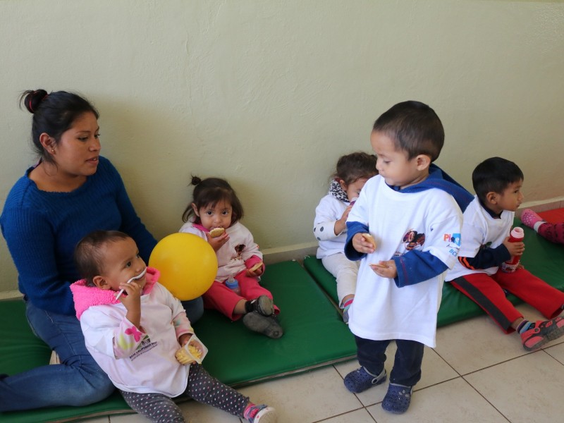 Descartan daño por pesticidas en Todos Santos