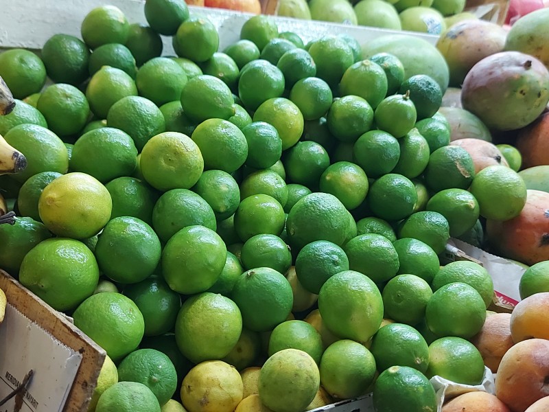 Descartan desabasto de limón en Tepic, pero sí aumenta precio