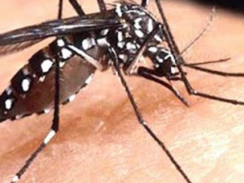 Descartan epidemia de Dengue en Ixtapa