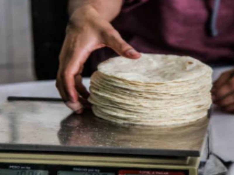 Descartan incremento en el kilo de tortilla en Guanajuato.