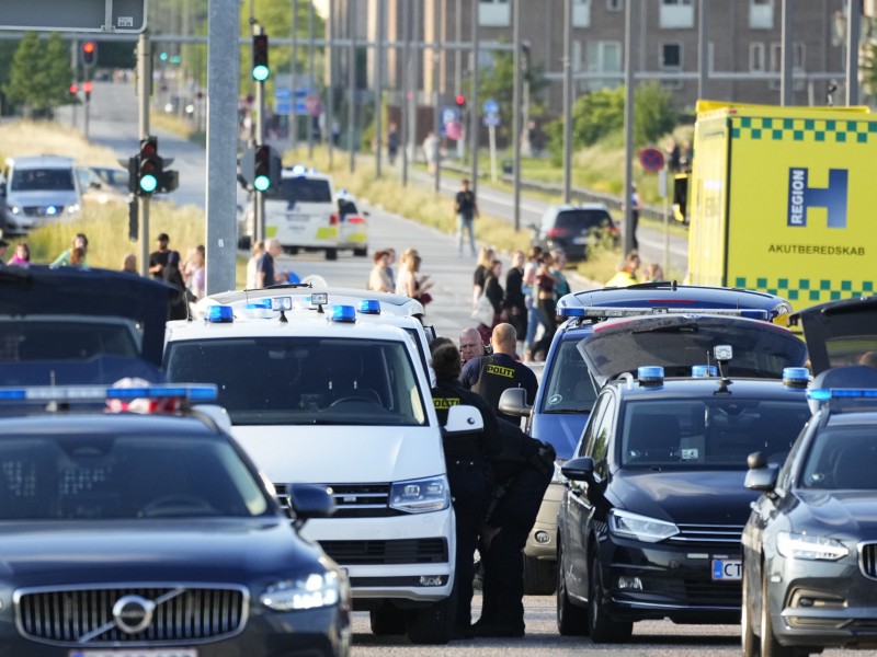 Descartan móvil terrorista en tiroteo de Copenhague