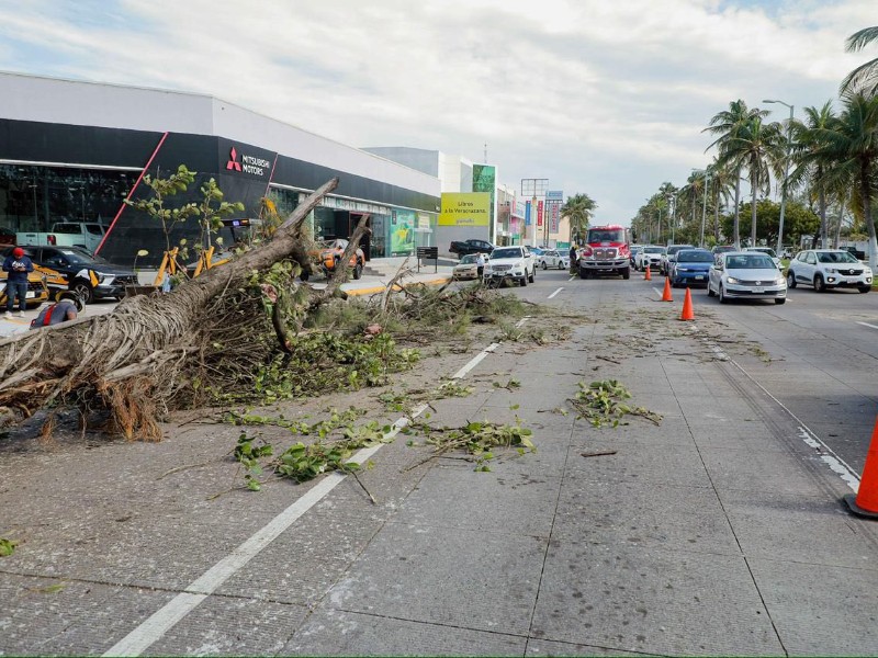 Descartan personas lesionadas por evento de norte en Boca del Río Descartan personas lesionadas por evento de norte en Boca del Río