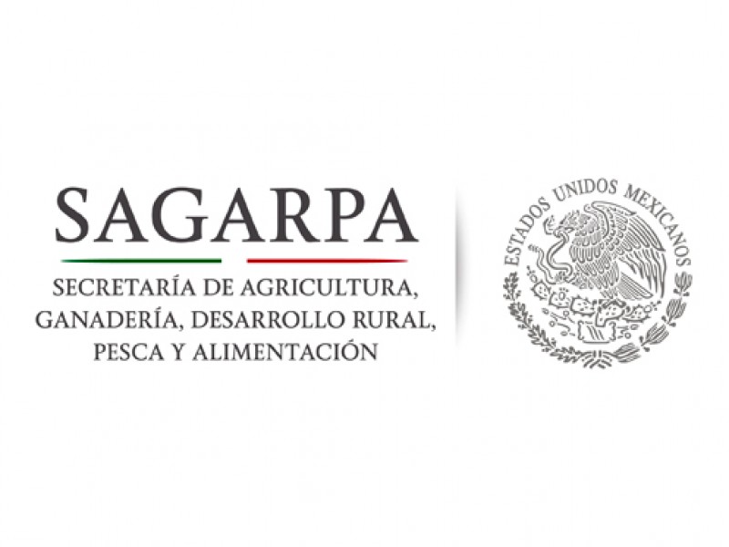 Descartan uso indebido de recursos de Sagarpa