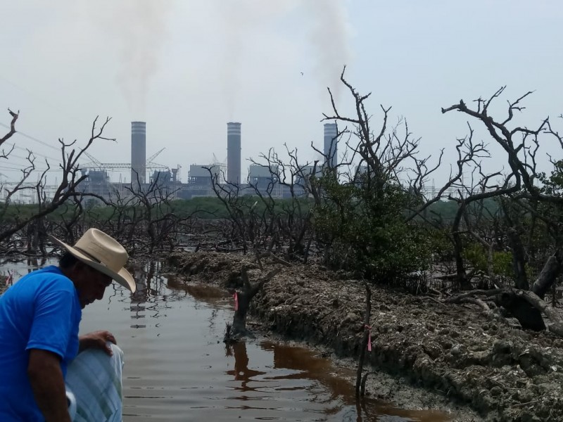 Desconcierta a Pescadores,  Canal hacia la Termoeléctrica