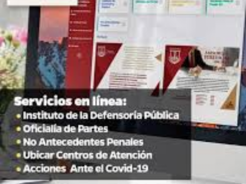 Desconfianza en ciudadanía por servicios en línea