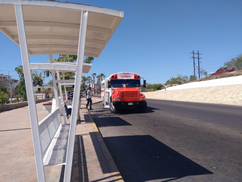 Desconocen rutas, faltan paradas y más transporte: sondeo